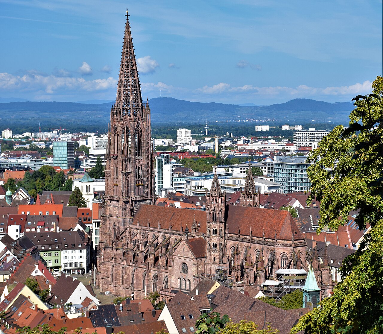 Das Freiburger Münster über den Dächern der Altstadt